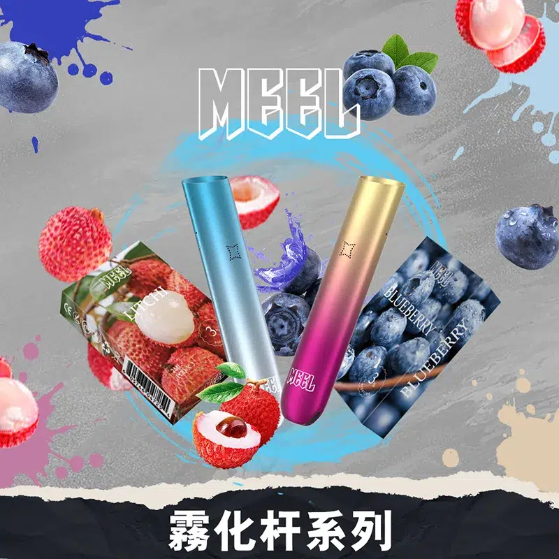 MEEL一代主機 MEEL一代主機